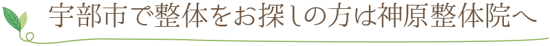 ここにSEO対策テキストが入ります