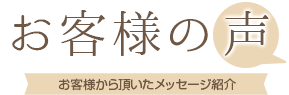 ここにSEO対策テキストが入ります